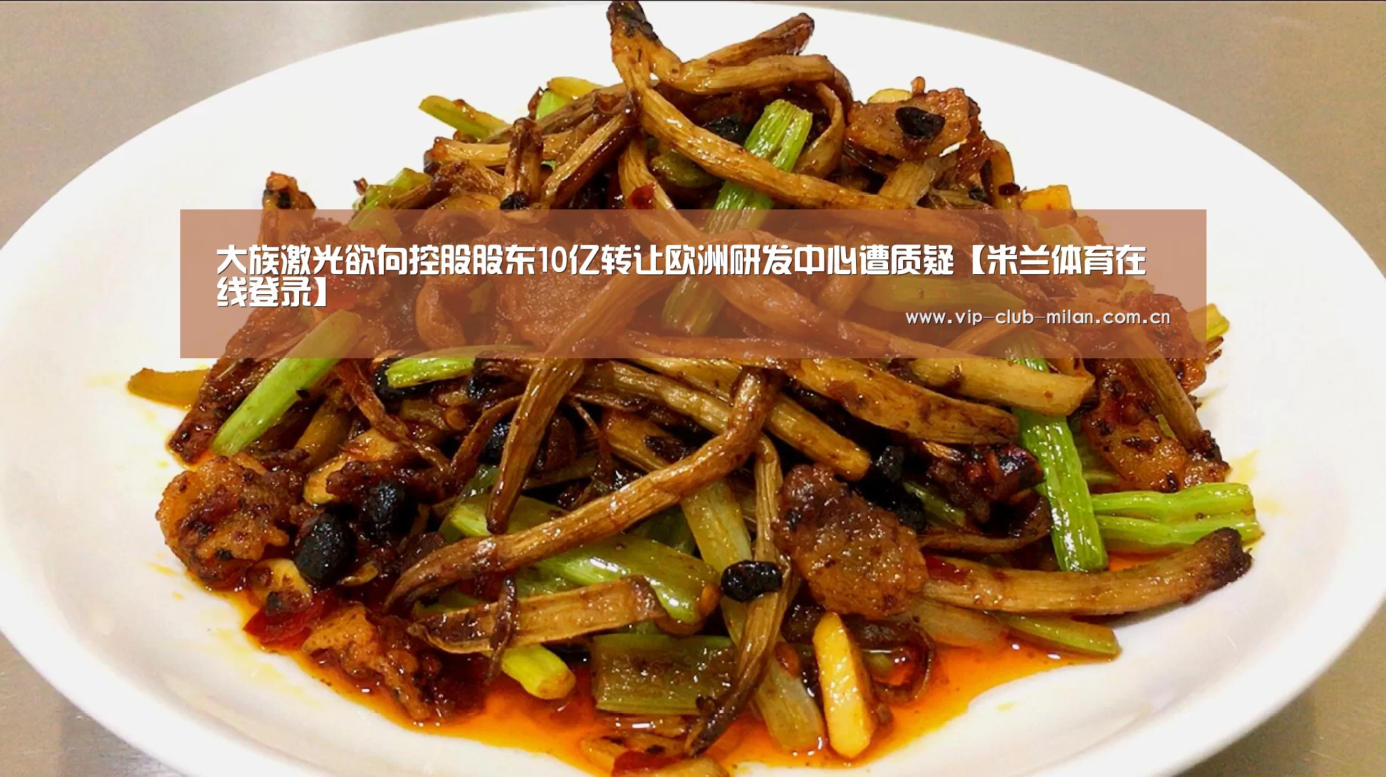 大族激光欲向控股股东10亿转让欧洲研发中心遭质疑【米兰体育在线登录】(图3) 米兰体育入口