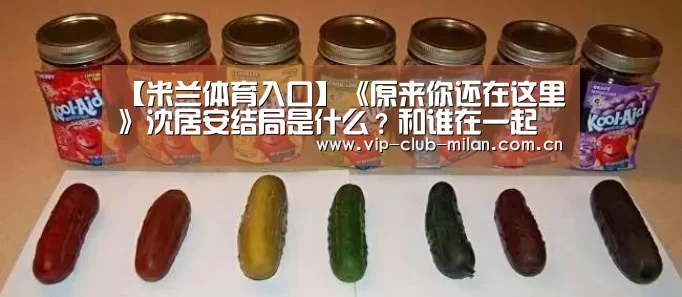 【米兰体育入口】《原来你还在这里》沈居安结局是什么?和谁在一起了?(图3) 米兰体育在线登录